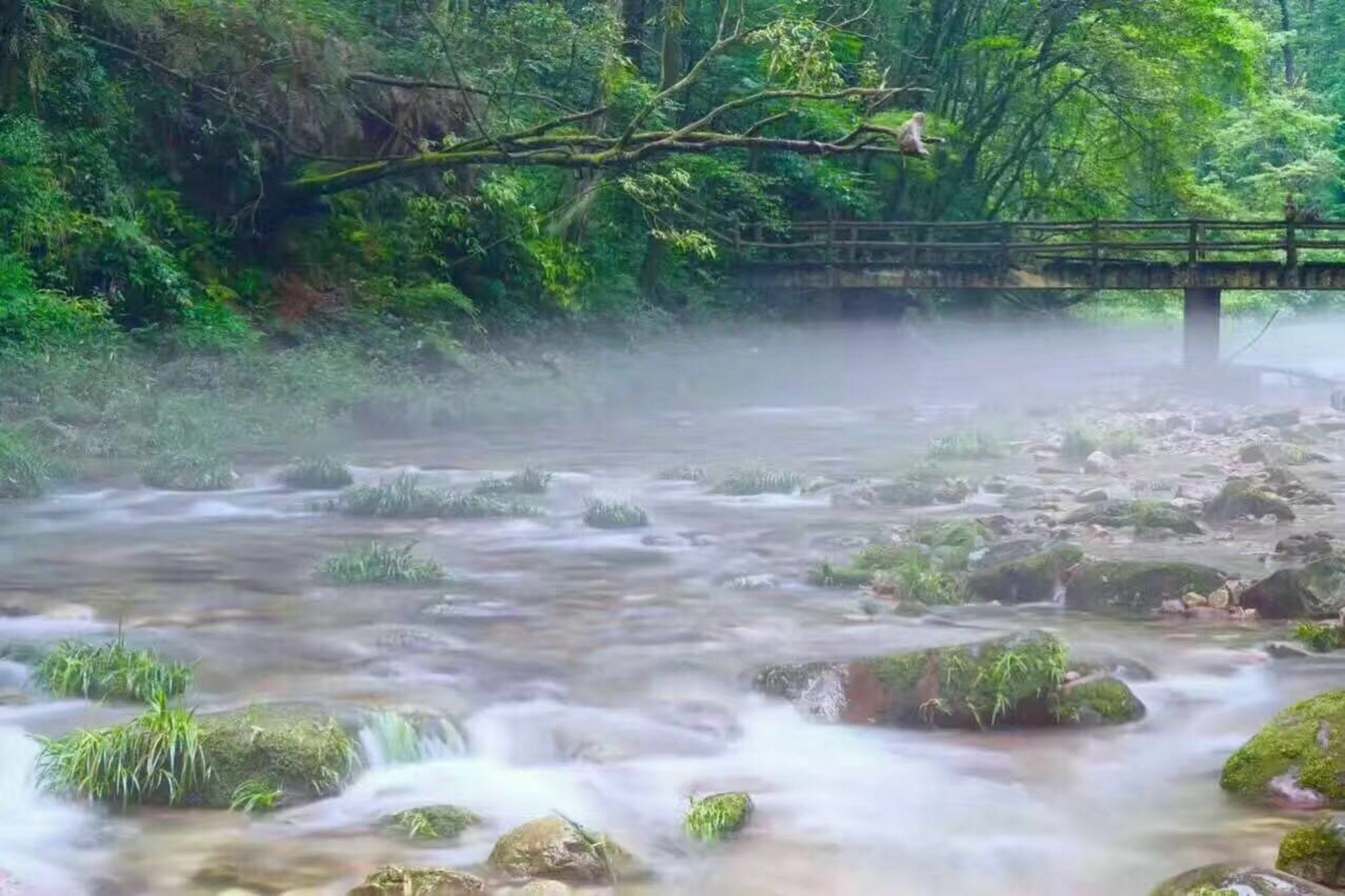 Zhangjiajie Yueranju Hostel 外观 照片